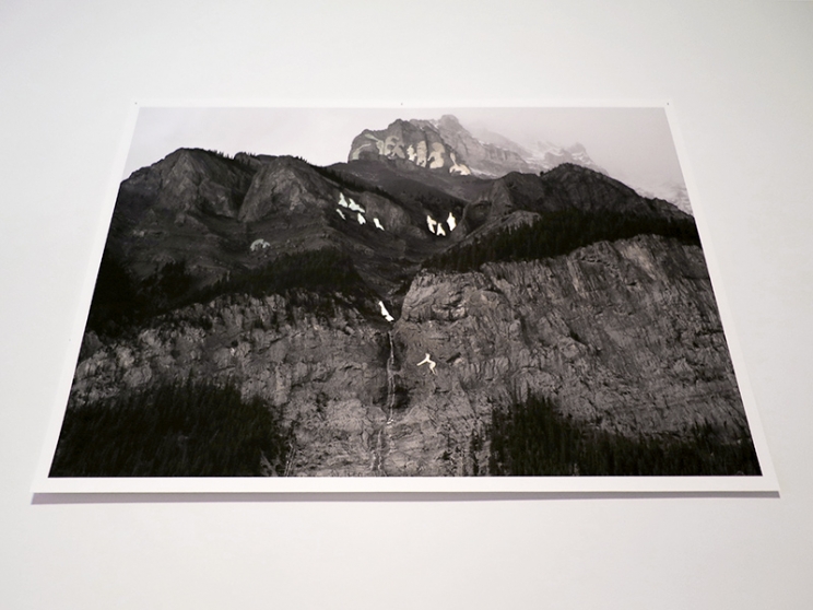 http://www.store.mirunadragan.com/files/gimgs/th-12_GGallery_Mountain_web.jpg