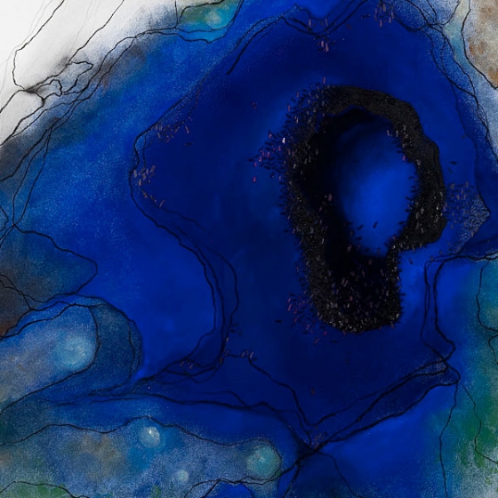 http://www.store.mirunadragan.com/files/gimgs/th-23_Erratics-Draw2-detail-web_v2.jpg