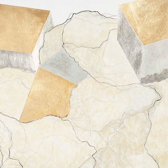 http://www.store.mirunadragan.com/files/gimgs/th-23_Erratics-Draw1-detail-web_v3.jpg