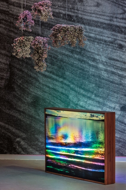 http://www.store.mirunadragan.com/files/gimgs/th-28_Untitled3_W.jpg