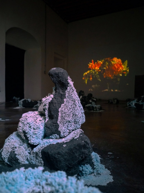 http://www.store.mirunadragan.com/files/gimgs/th-71_HGM-Coal-W_IMG_20220920_111751(1)_1.jpg