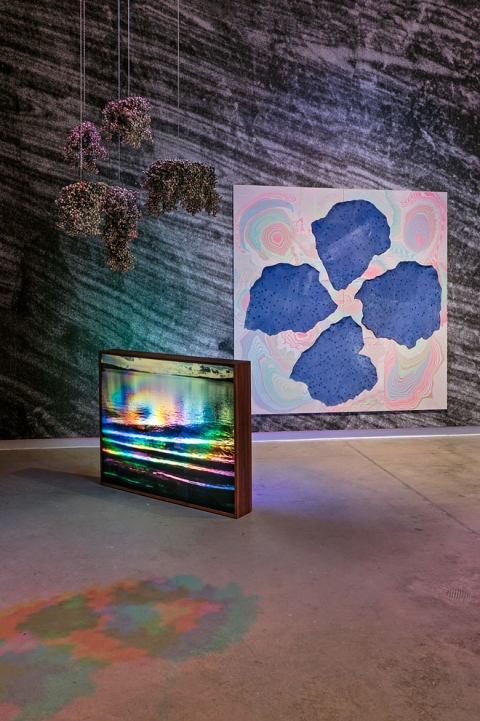 http://www.store.mirunadragan.com/files/gimgs/th-54_Untitled2_W.jpg